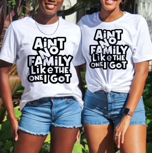 Ain't No Family like the One I Got T-Shirt